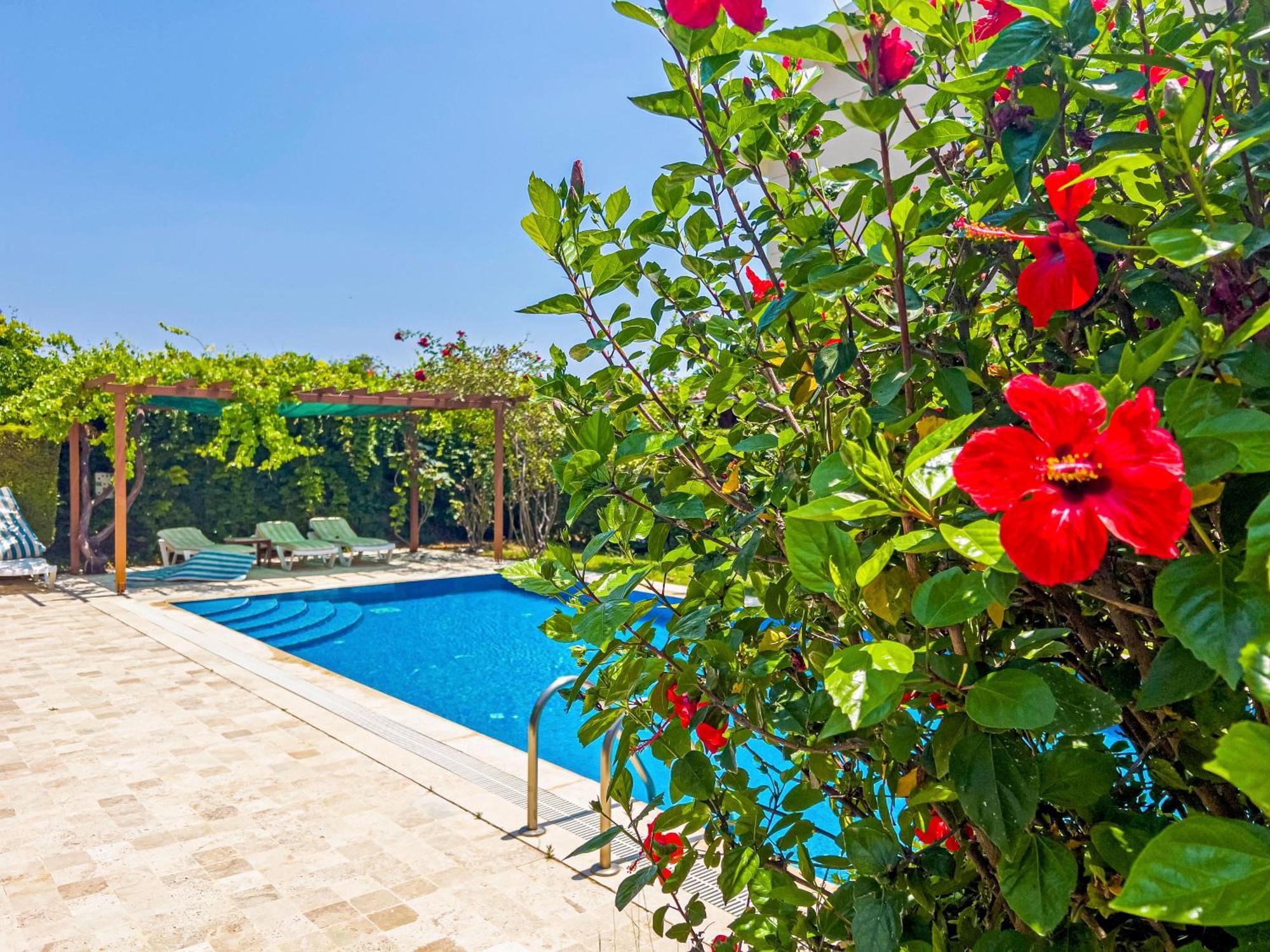 Paradise Town Villa Royal Belek Extérieur photo